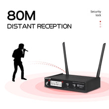 Load image into Gallery viewer, D Debra Audio VM302/VM304 VHF Wireless Microphone System with Dual Handheld Mic Have XLR Interface for Home Karaoke Wedding Conference Speech
