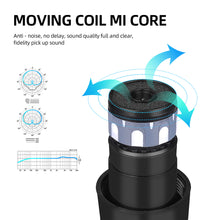 Carregar imagem no visualizador da galeria, D Debra Audio AU200 Pro UHF 2 Channel Wireless Microphone System with Cordless Handheld Lavalier Headset Mics, Metal Receiver, Ideal for Karaoke Church Party