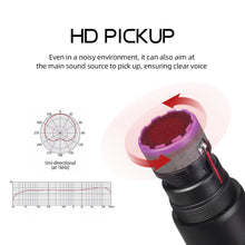 Load image into Gallery viewer, D Debra Audio VM302/VM304 VHF Wireless Microphone System with Dual Handheld Mic Have XLR Interface for Home Karaoke Wedding Conference Speech