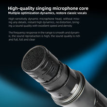 Load image into Gallery viewer, D Debra Audio R202 Professional 2x100 Channels UHF Wireless Handheld Microphone System, Ideal for Karaoke Church Party