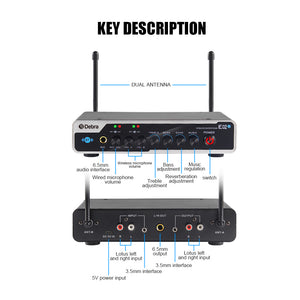 D Debra Audio E02U UHF Dual Channel Wireless Microphone System  For Karaoke