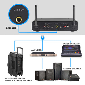 D Debra Audio E02U UHF Dual Channel Wireless Microphone System  For Karaoke