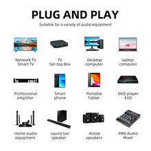 Load image into Gallery viewer, D Debra Audio E02U UHF Dual-Channel Wireless Microphone System with DSP Reverb Volume Control, 164 Feet Range for Karaoke Church Party
