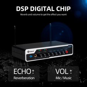 D Debra Audio E02U UHF Dual-Channel Wireless Microphone System with DSP Reverb Volume Control, 164 Feet Range for Karaoke Church Party