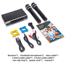 Load image into Gallery viewer, D Debra Audio E02U UHF Dual-Channel Wireless Microphone System with DSP Reverb Volume Control, 164 Feet Range for Karaoke Church Party
