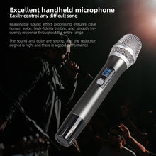 Load image into Gallery viewer, D Debra Audio R202 Professional 2x100 Channels UHF Wireless Handheld Microphone System, Ideal for Karaoke Church Party
